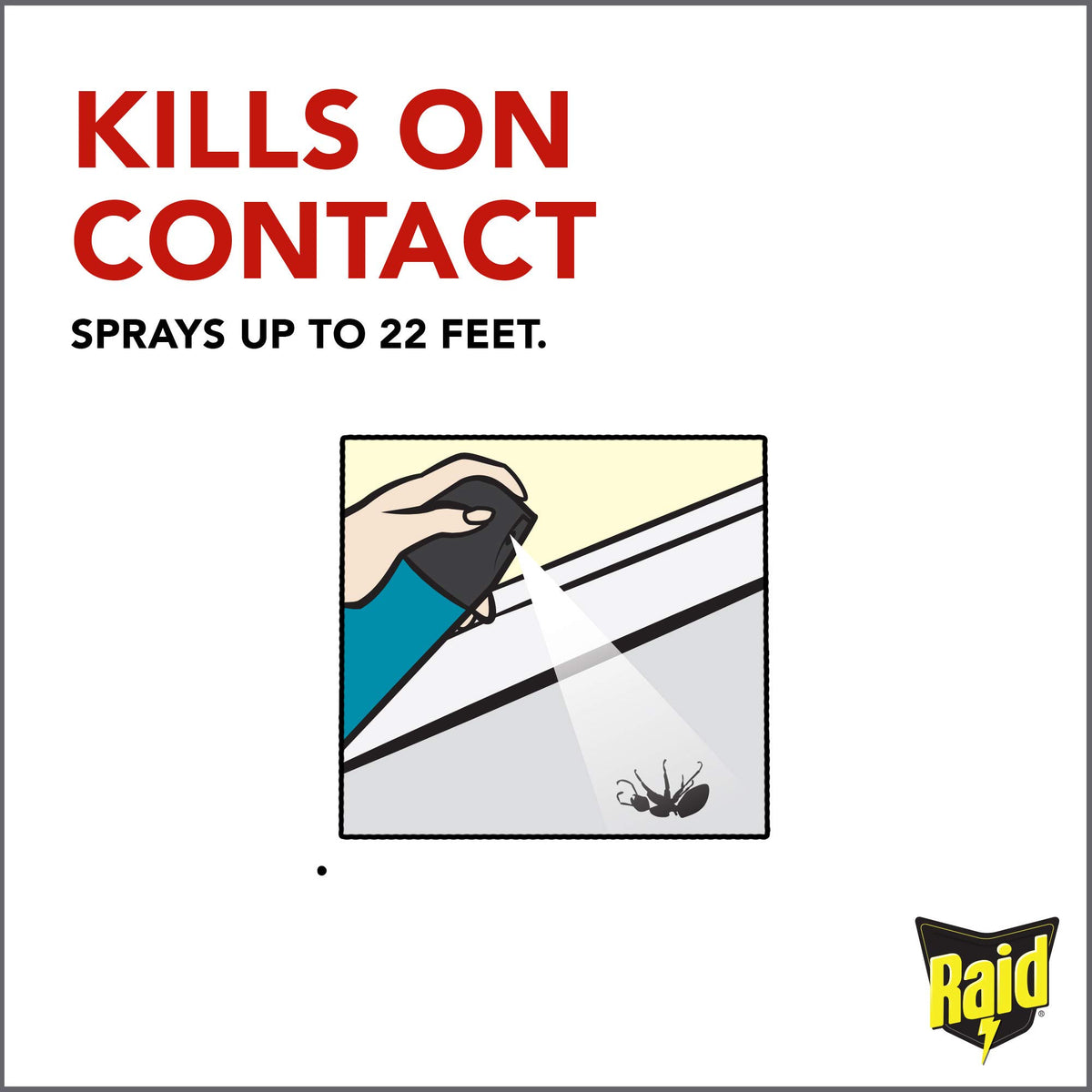 Raid Wasp Hornet Killer Spray (14 Ounce (Pack of 3))