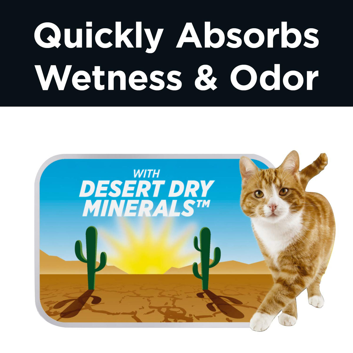 Arm & Hammer Clump & Seal AbsorbX Lightweight Quick Absorbing Multi-Cat Clumping Cat Litter
