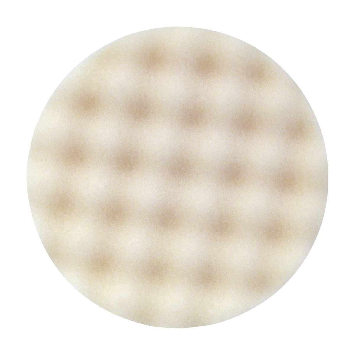 3M Foam Compounding Pad, 05723, Single Sided, Flat Back, Hook and Loop, 8 in (203.2 mm), 2 Pads/Bag