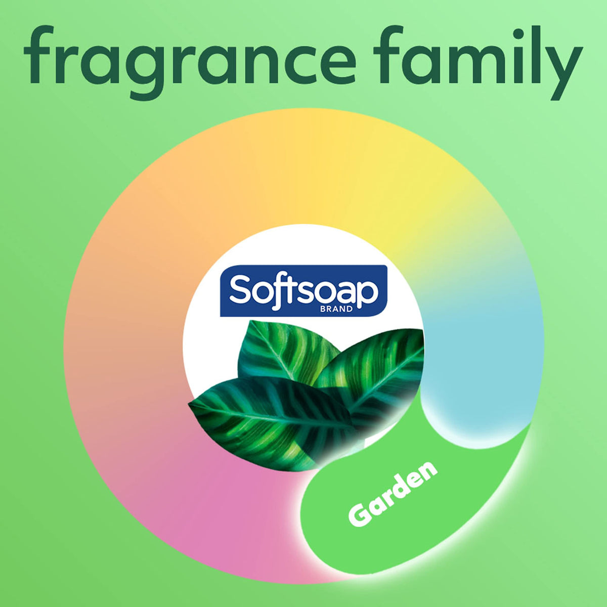 Softsoap Soothing Clean Liquid Hand Soap Refill, 32 Ounce, 6 Pack