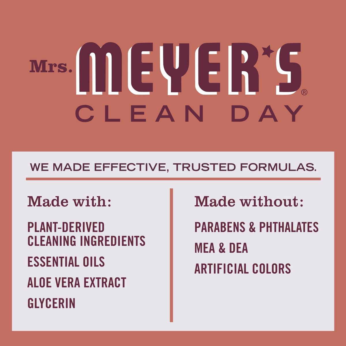 Mrs. MEYER'S Clean Day Dish Soap, Fall Leaves Scent, 16 fl oz (1)