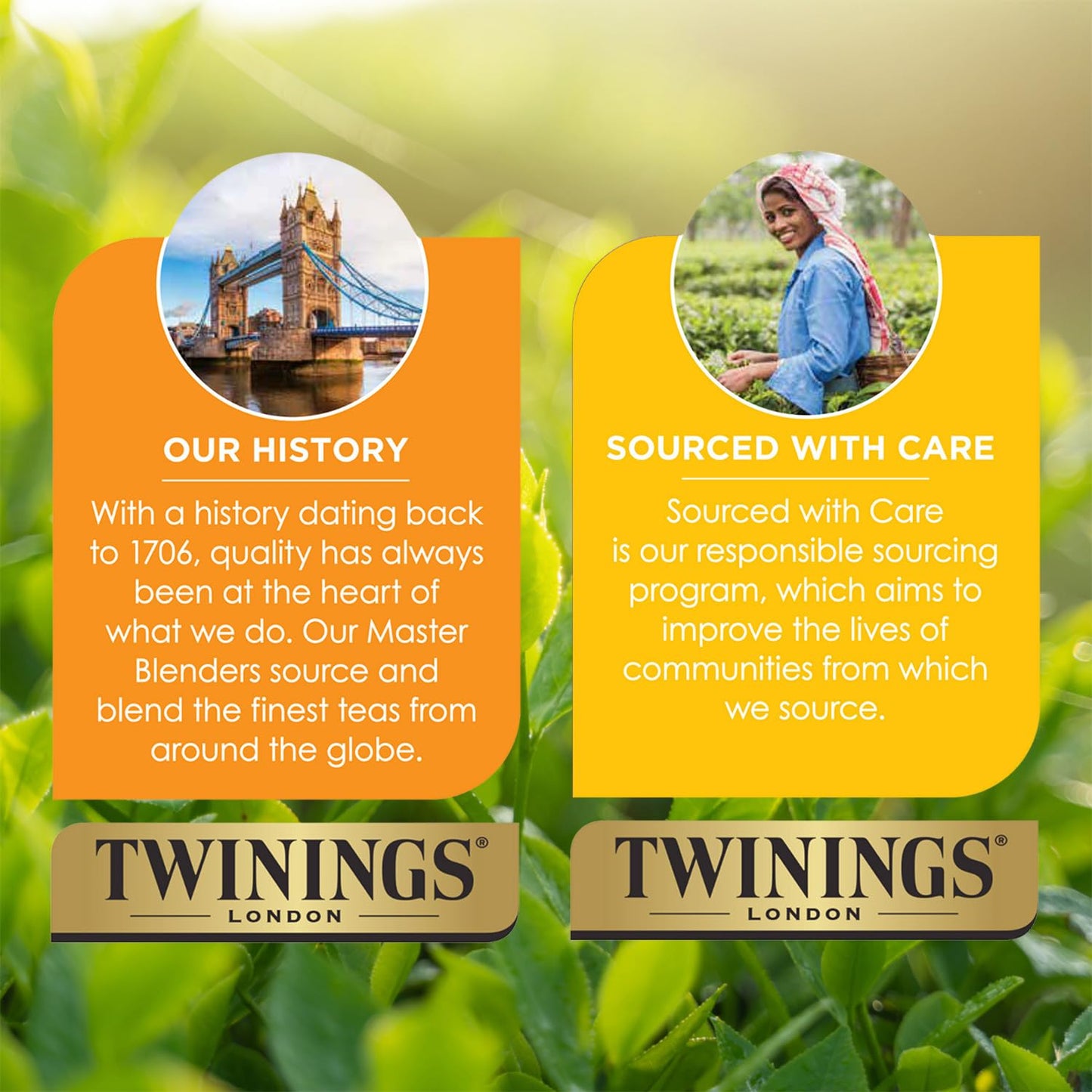Twinings Pure Peppermint Tea - Naturally Caffeine Free, Refreshing Mint Herbal Tea Bags Individually Wrapped, 50 Count