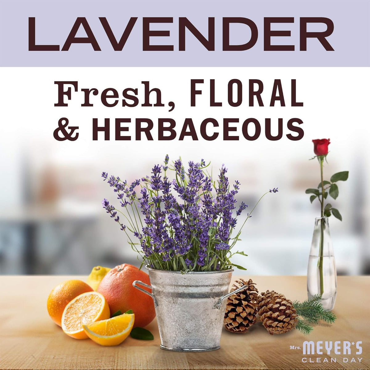 Mrs. Meyer's Laundry Detergent Lavender, 64 OZ (Pack of 6)