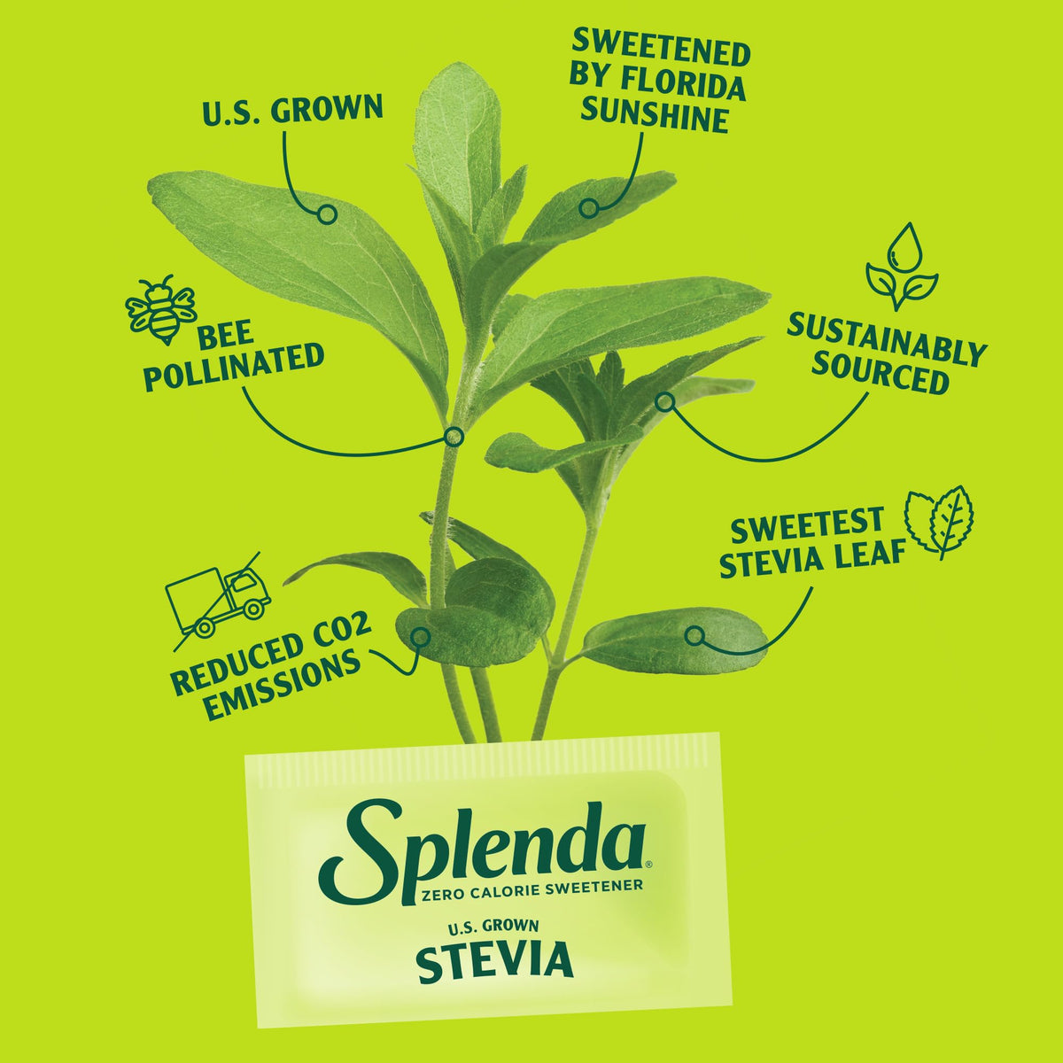 SPLENDA Stevia Liquid Zero Calorie Sweetener Drops, 3.38 Fl Oz Bottle