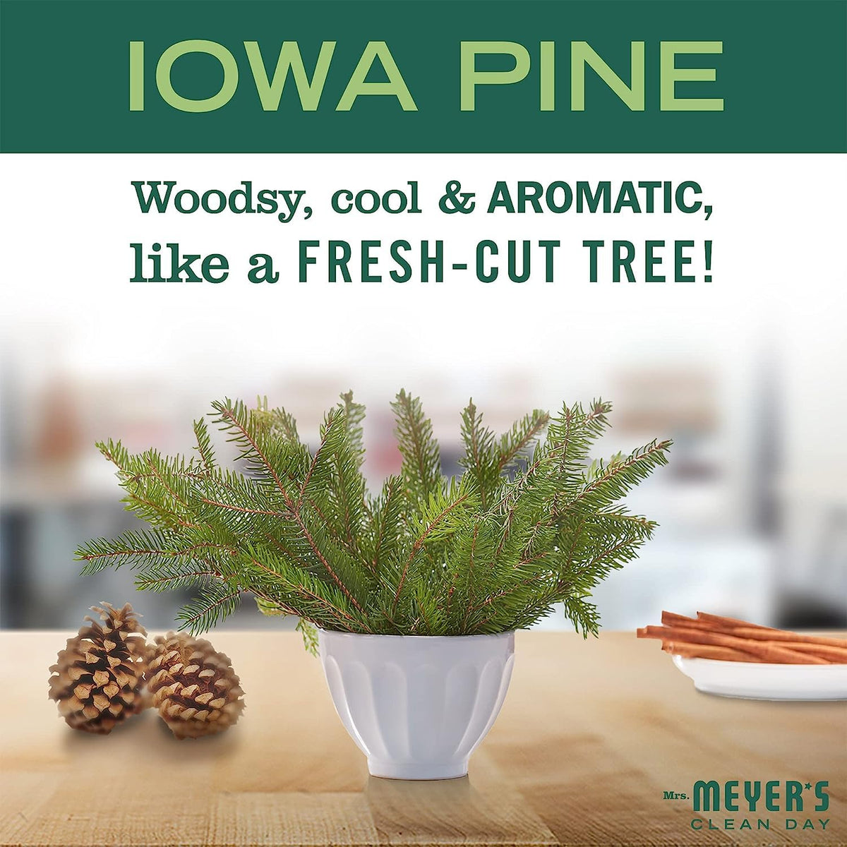 MRS. MEYER'S CLEAN DAY Hand Soap Variety (Iowa Pine + Orange Clove)