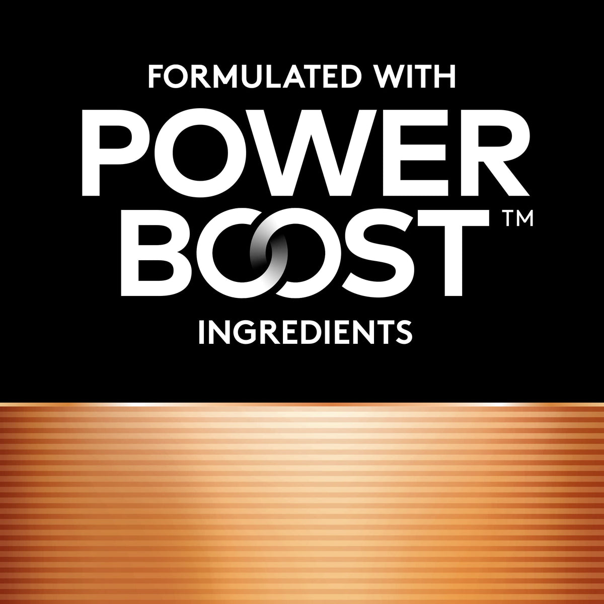 Duracell Coppertop 9V Battery, 1 Count (Pack of 1), Long-lasting All-Purpose Alkaline 9V Batteries for Household and Office Devices