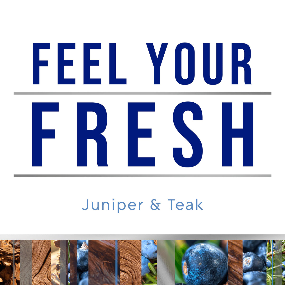 Glade Automatic Spray Refill, Air Freshener for Home and Bathroom, Juniper & Teak, Fresh Collection, 6.2 Oz