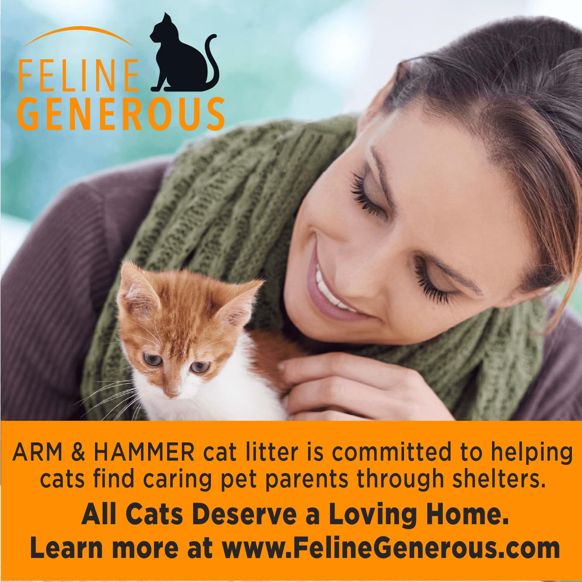 Arm & Hammer Clump & Seal Litter, MultiCat 19lb Box