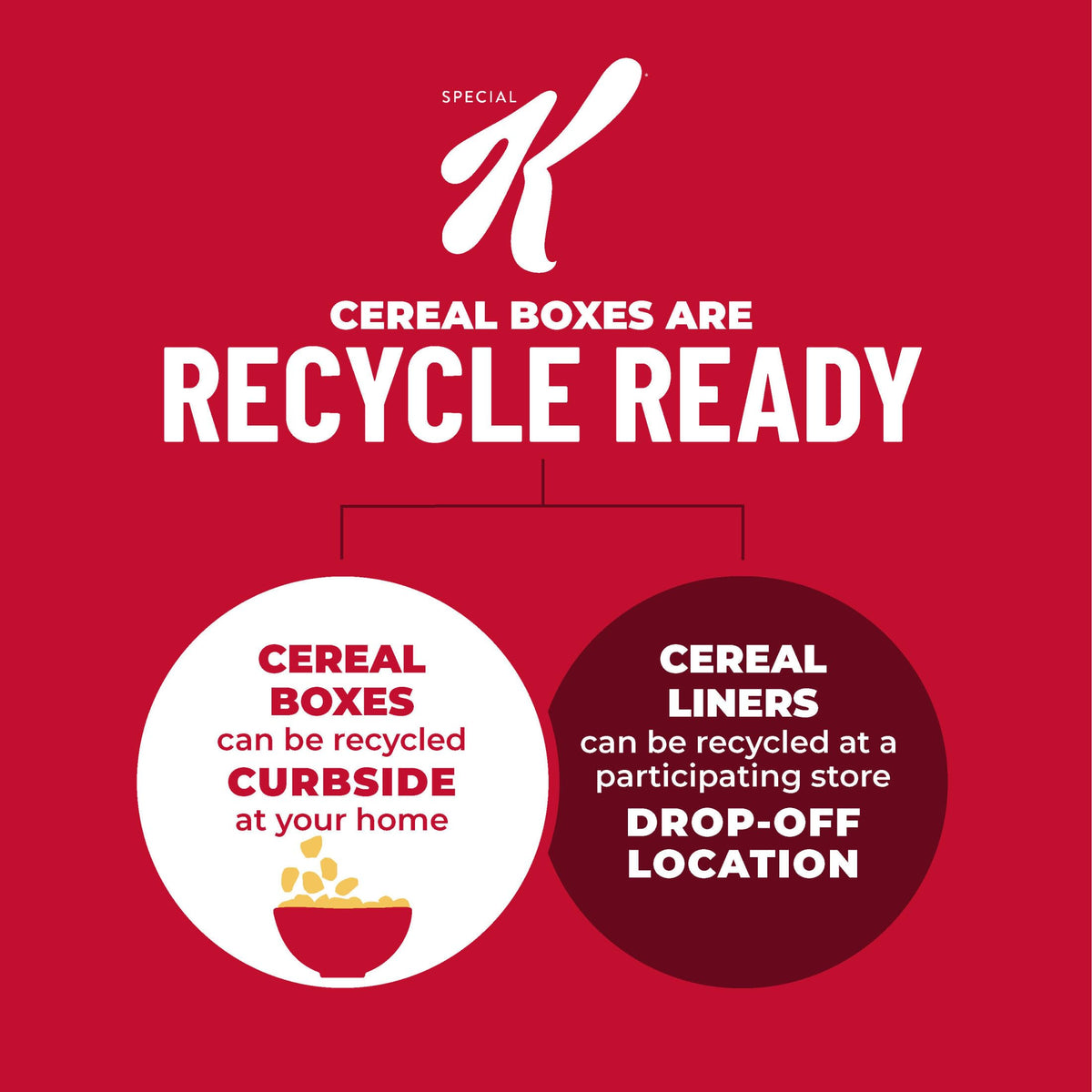 Kellogg's Special K Breakfast Cereal, Family Breakfast, Fiber Cereal, Family Size, Red Berries (3 Boxes)