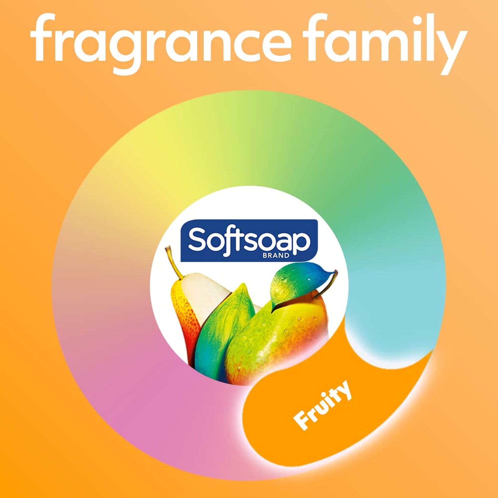 Softsoap Body Wash, Pomegranate & Mango Spritz Body Wash, 20 Fl Oz (Pack of 4)
