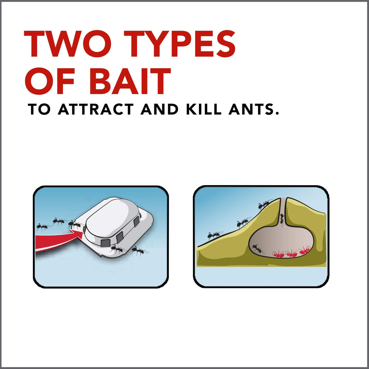 Raid Max Double Control Ant Baits, Household Use Defense System to Control Bugs, Dual Bait Technology, 8 CT (Pack of 3)