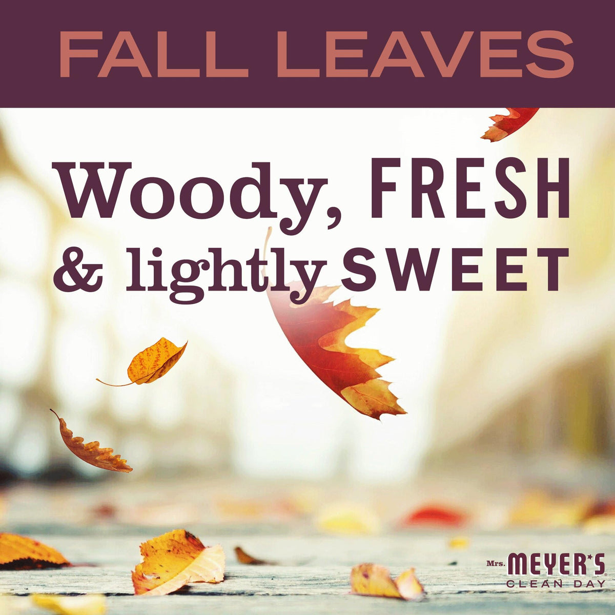 Mrs. MEYER'S Clean Day Dish Soap, Fall Leaves Scent, 16 fl oz (1)