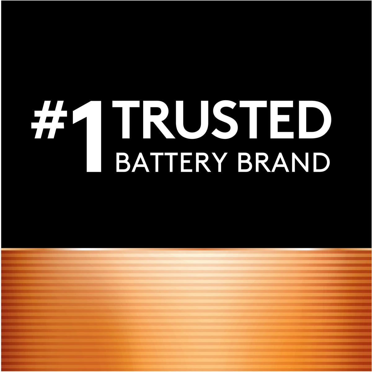 Duracell Coppertop 9V Battery, 1 Count (Pack of 1), Long-lasting All-Purpose Alkaline 9V Batteries for Household and Office Devices