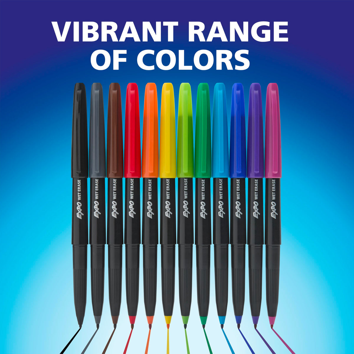 EXPO Wet Erase Markers, Semi-Permanent Markers, Blue, Ultra Fine Tip, 12 Count