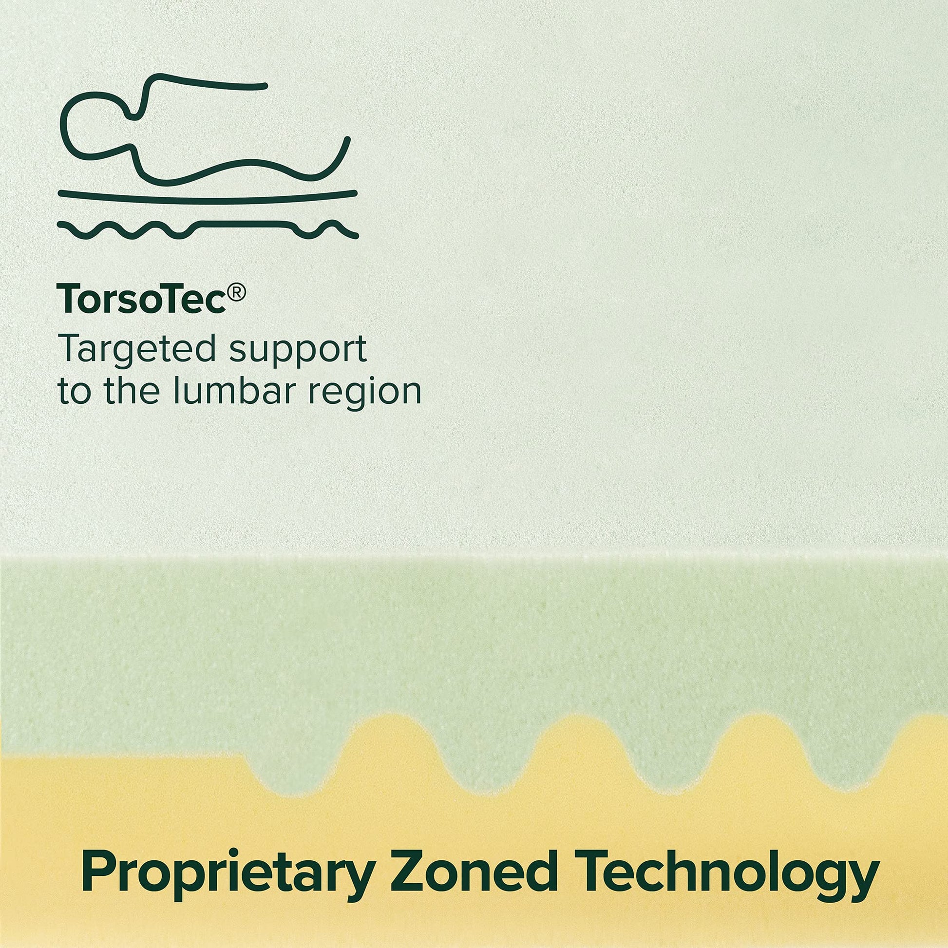 ZINUS 4 Inch Green Tea TorsoTec Memory Foam Mattress Topper, Pressure-Relieving, Lumbar Support, CertiPUR-US Certified, Queen