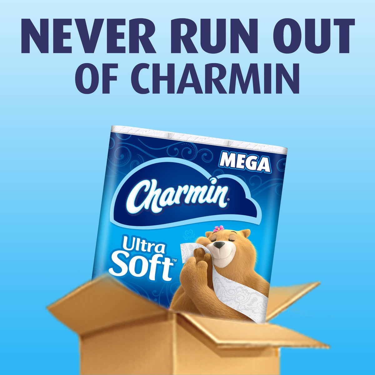 Charmin Ultra Soft Toilet Paper, 9 Mega Rolls Bath Tissue = 36 Regular Rolls