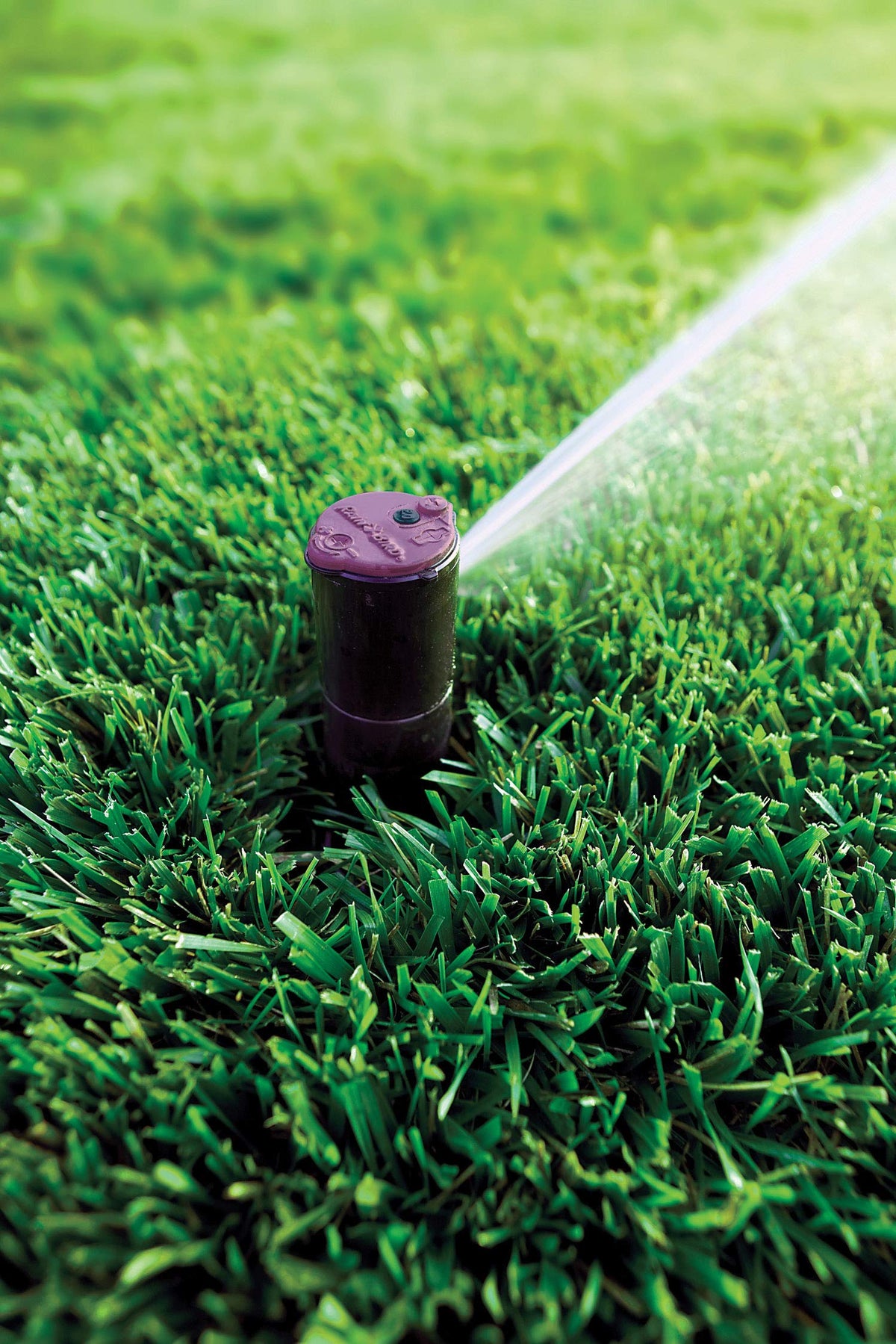 Rain Bird CP5000NP Purple Top Non-Potable Water Simple Adjust Gear Drive Rotor, Adjustable 40Â° - 360Â° Pattern, 26' - 38' Spray Distance