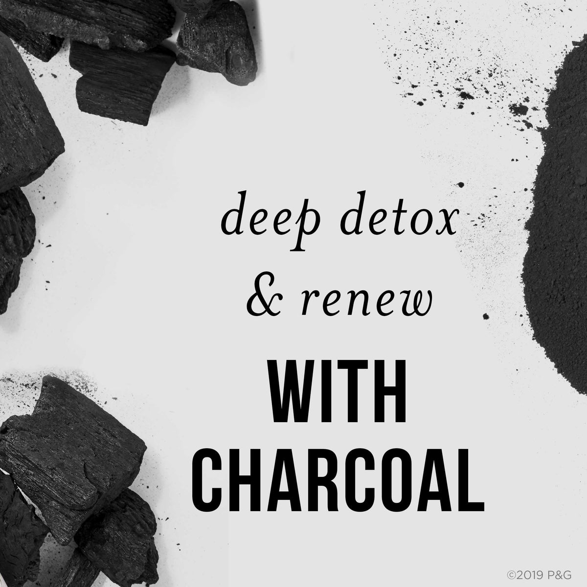 Pantene Nutrient Blends Deep Detox & Renew Clarifying Silicone Free Charcoal Conditioner, 8 Fl Oz