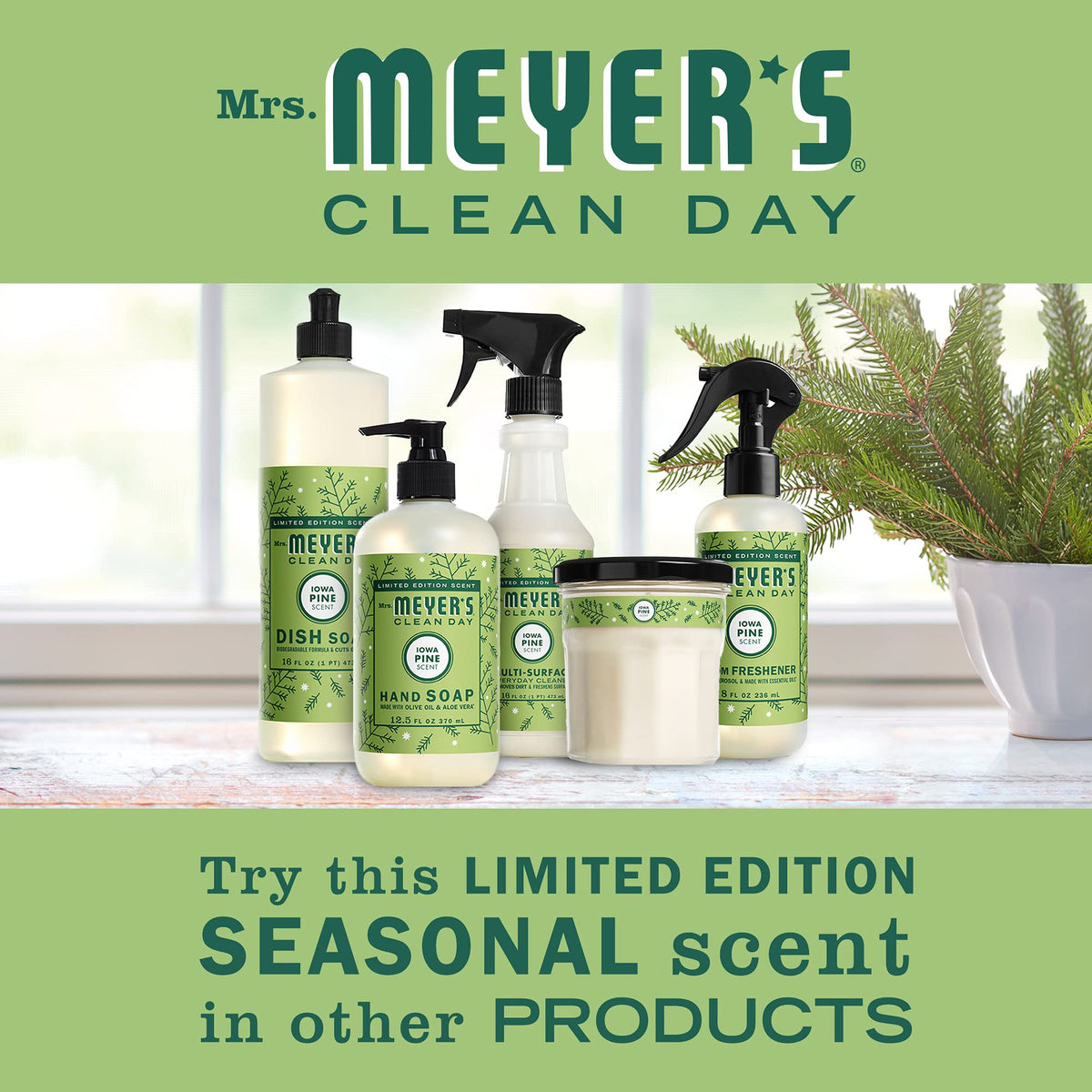 MRS. MEYER'S CLEAN DAY Liquid Dish Soap, Biodegradable Formula, Limited Edition Iowa Pine, 16 fl. oz