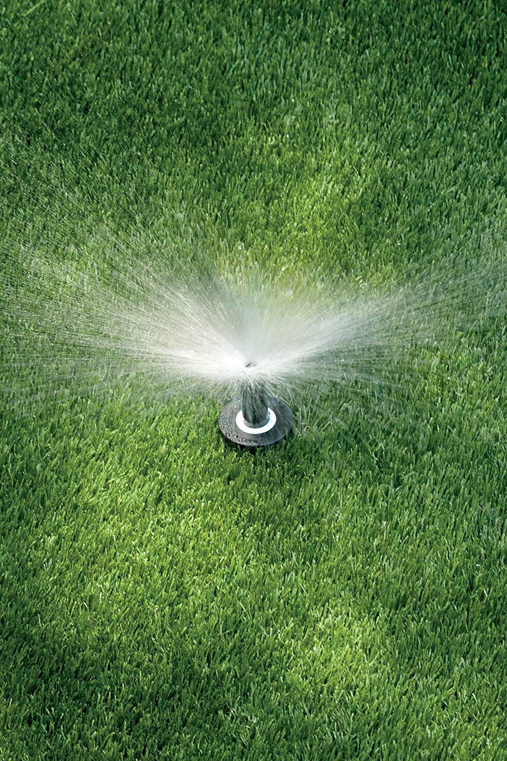 Rain Bird 1804APPR25 Pressure Regulating (PRS) Professional Pop-Up Sprinkler, Adjustable 0Â° to 360Â° Pattern, 8' - 15' Spray Distance, 4" Pop-up Height