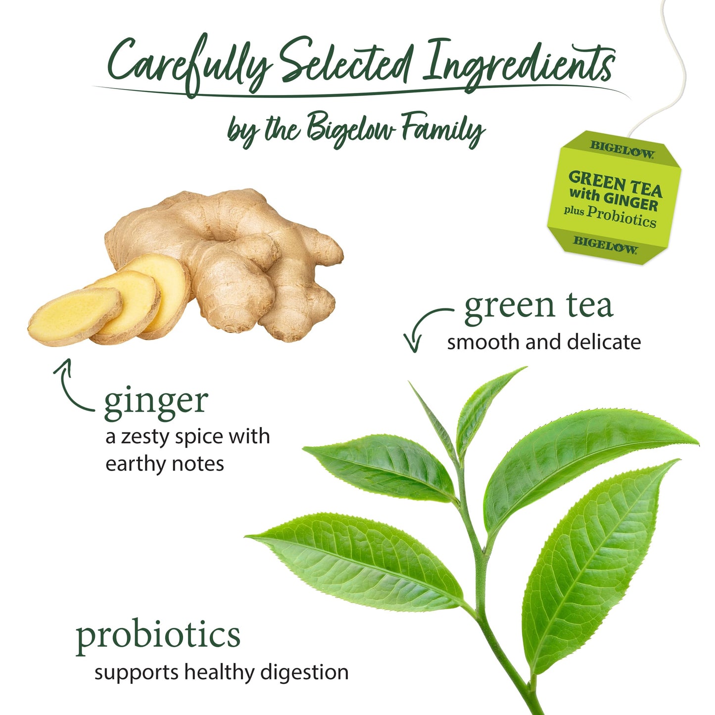 Bigelow Tea Green Tea with Ginger Plus Probiotics, Caffeinated Tea with Ginger, 18 Count Box, (Pack of 6), 108 Total Tea Bags