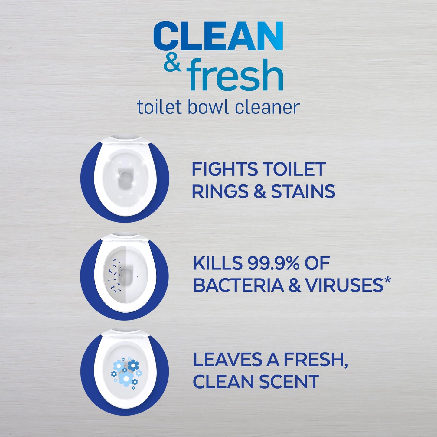 Lysol Power & Fresh Cling Toilet Bowl Cleaner Value Pack, Country Scent, 48 oz