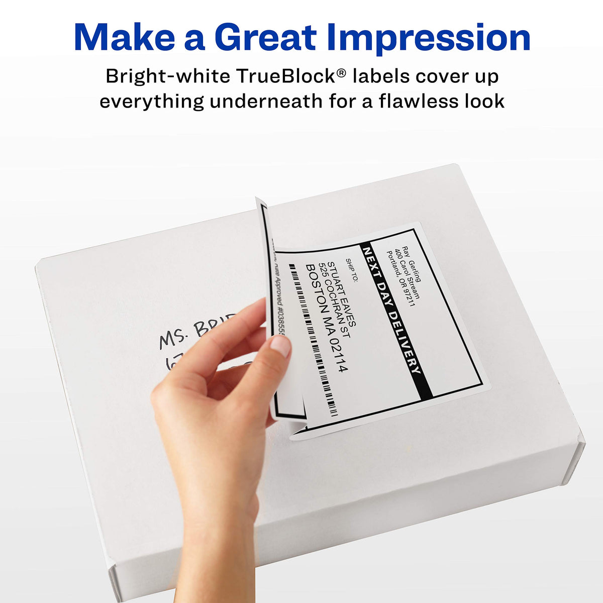 Avery 18163 Shipping Labels with TrueBlock Technology, Inkjet, 2 x 4, White, 100/Pack
