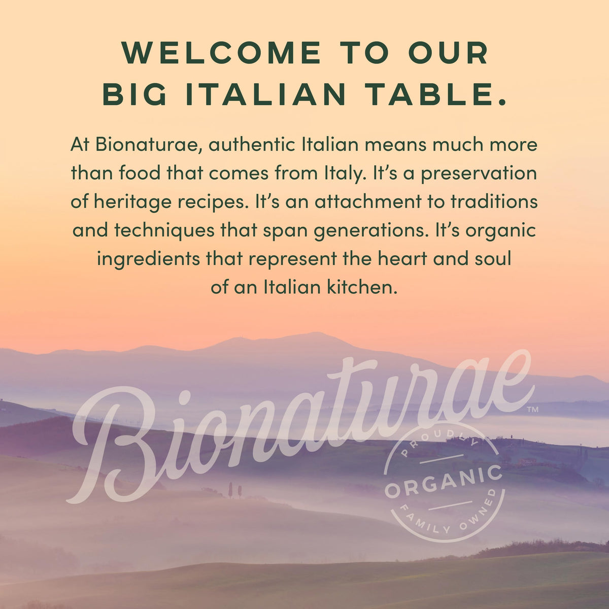 Bionaturae Organic Strained Tomatoes -- 24 fl oz
