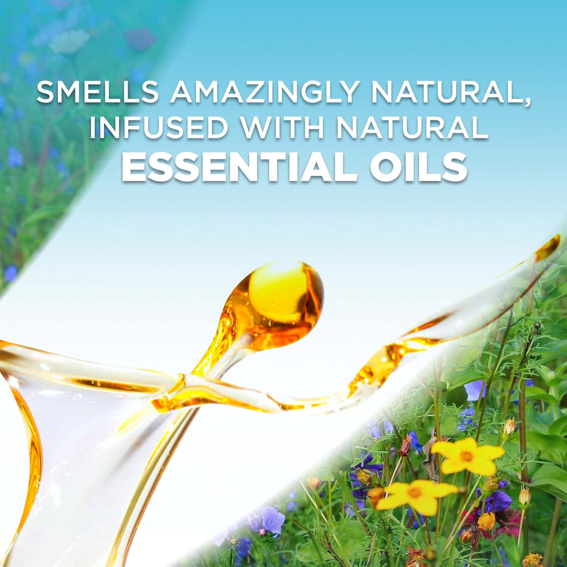 Air Wick Plug in Scented Oil Refill, 5 ct, Coconut and Pineapple, Air Freshener, Essential Oils