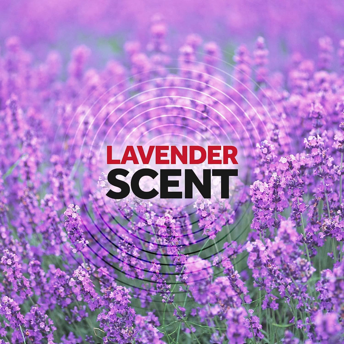 Raid Ant & Roach Killer Lavender 17.5 Ounce (Pack of 8)
