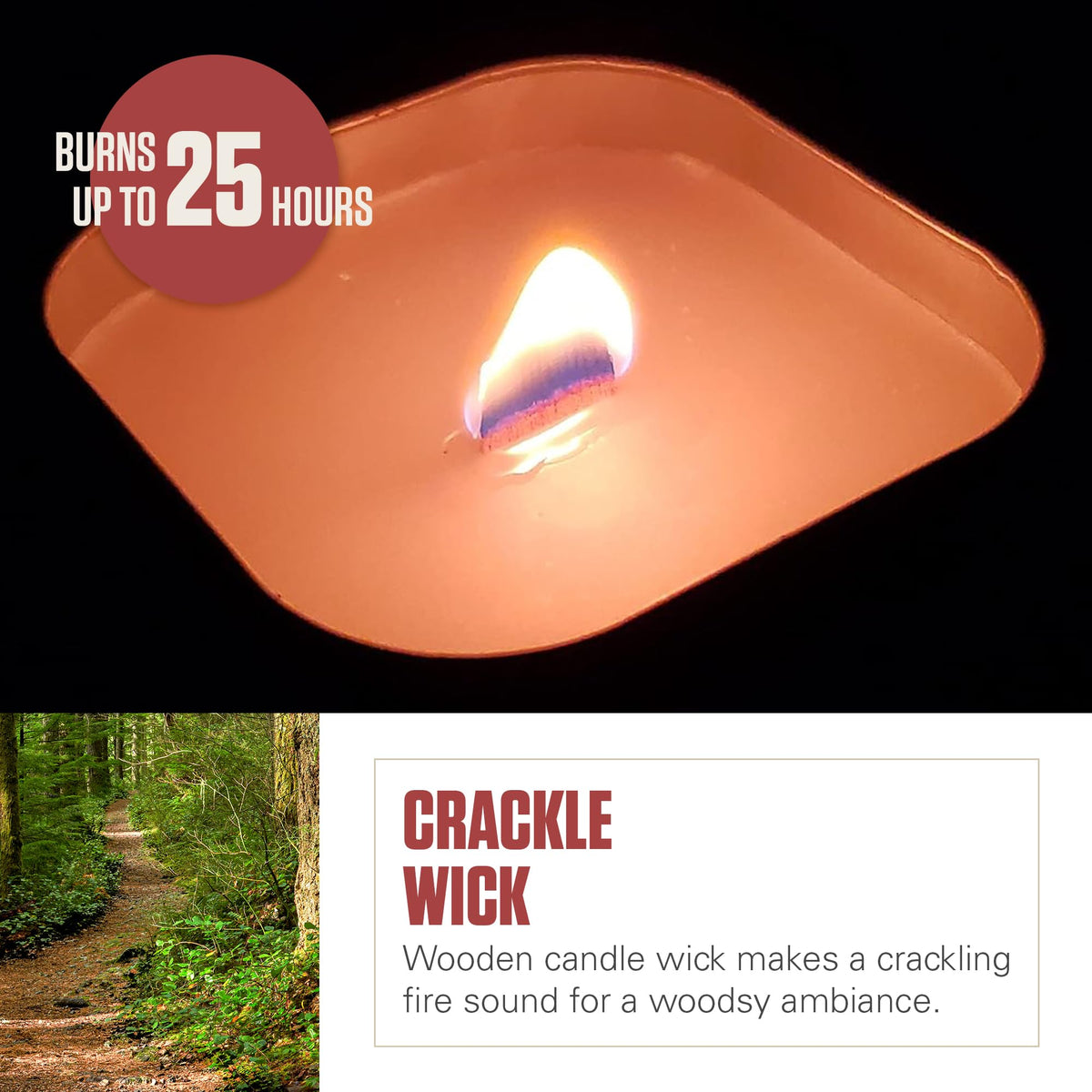 Coleman Scented Tin Citronella Candle - 3 Pack, S'Mores, Pine and Campfire
