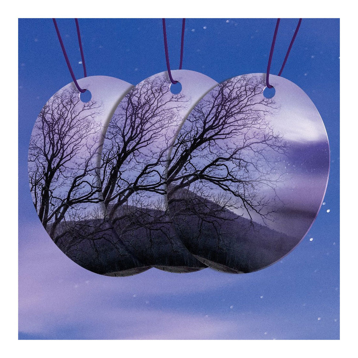 Armor All FRESHfx Car Air Freshener Hanging Card, 3-Count (Twilight Mist)