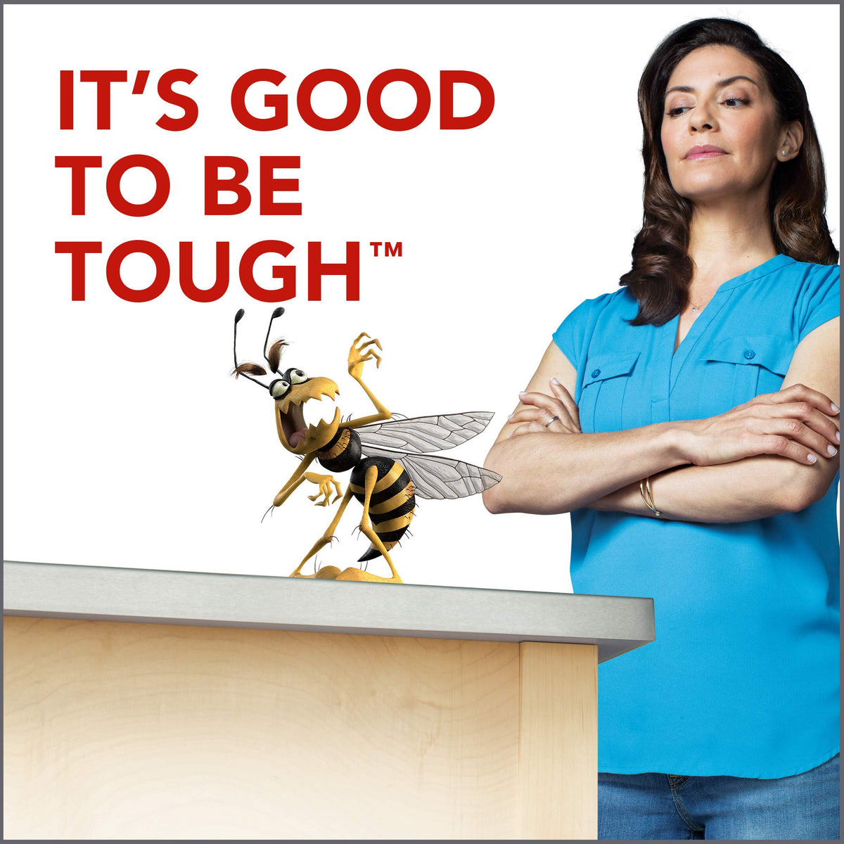 Raid Wasp Hornet Killer Spray (14 Ounce (Pack of 3))