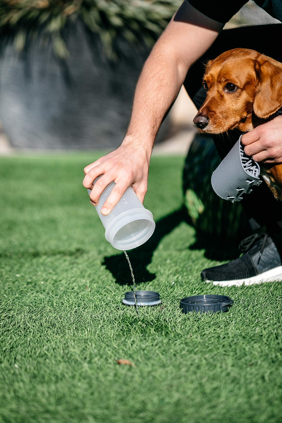 Dexas Lidded MudBuster Portable Dog Paw Cleaner, Light Gray, Medium with Lid