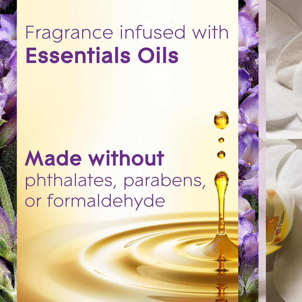 Lavender and Vanilla Scented Oil Plug-in Holder