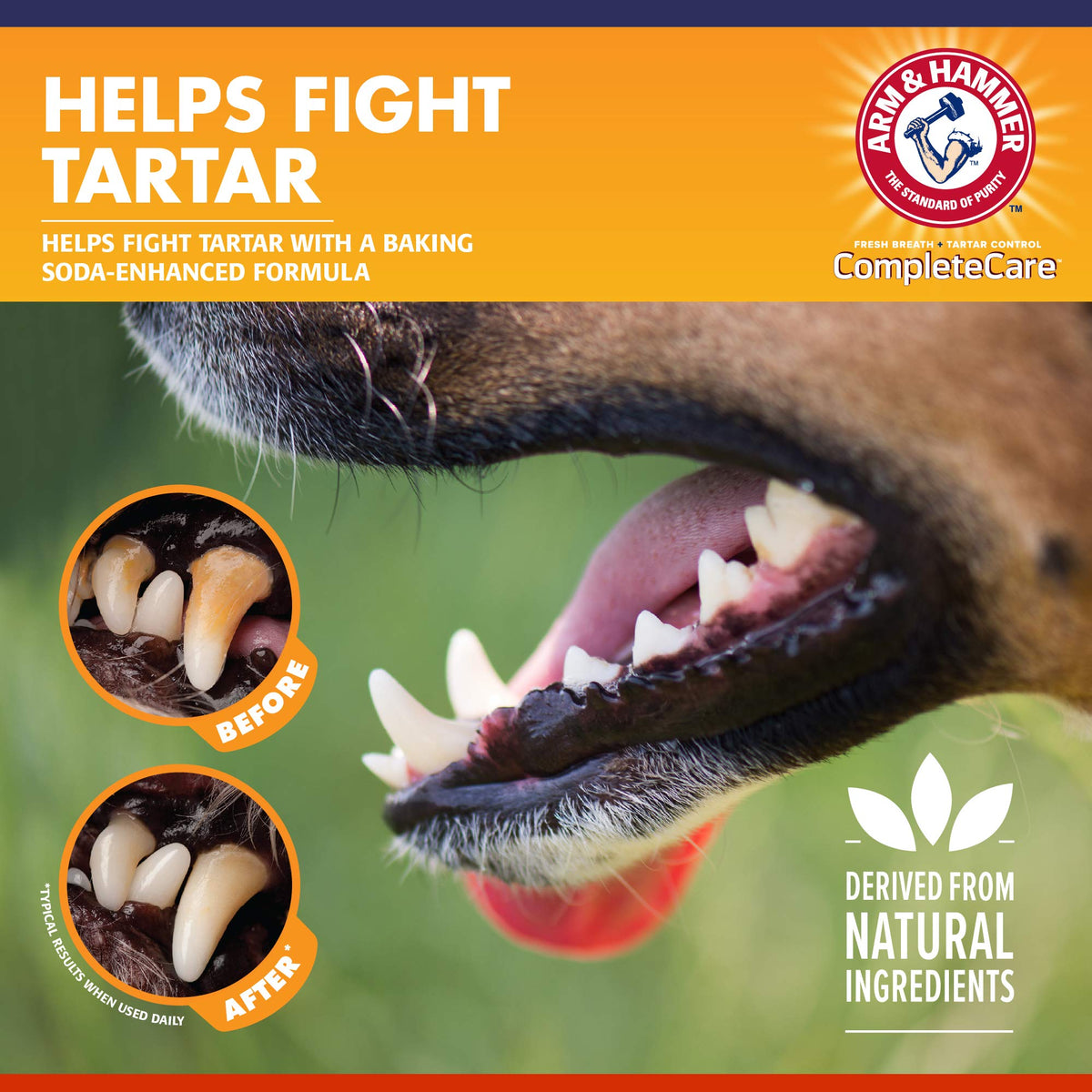 Arm & Hammer Dog Dental Kit - Enzymatic Dog Toothpaste 2.5 oz