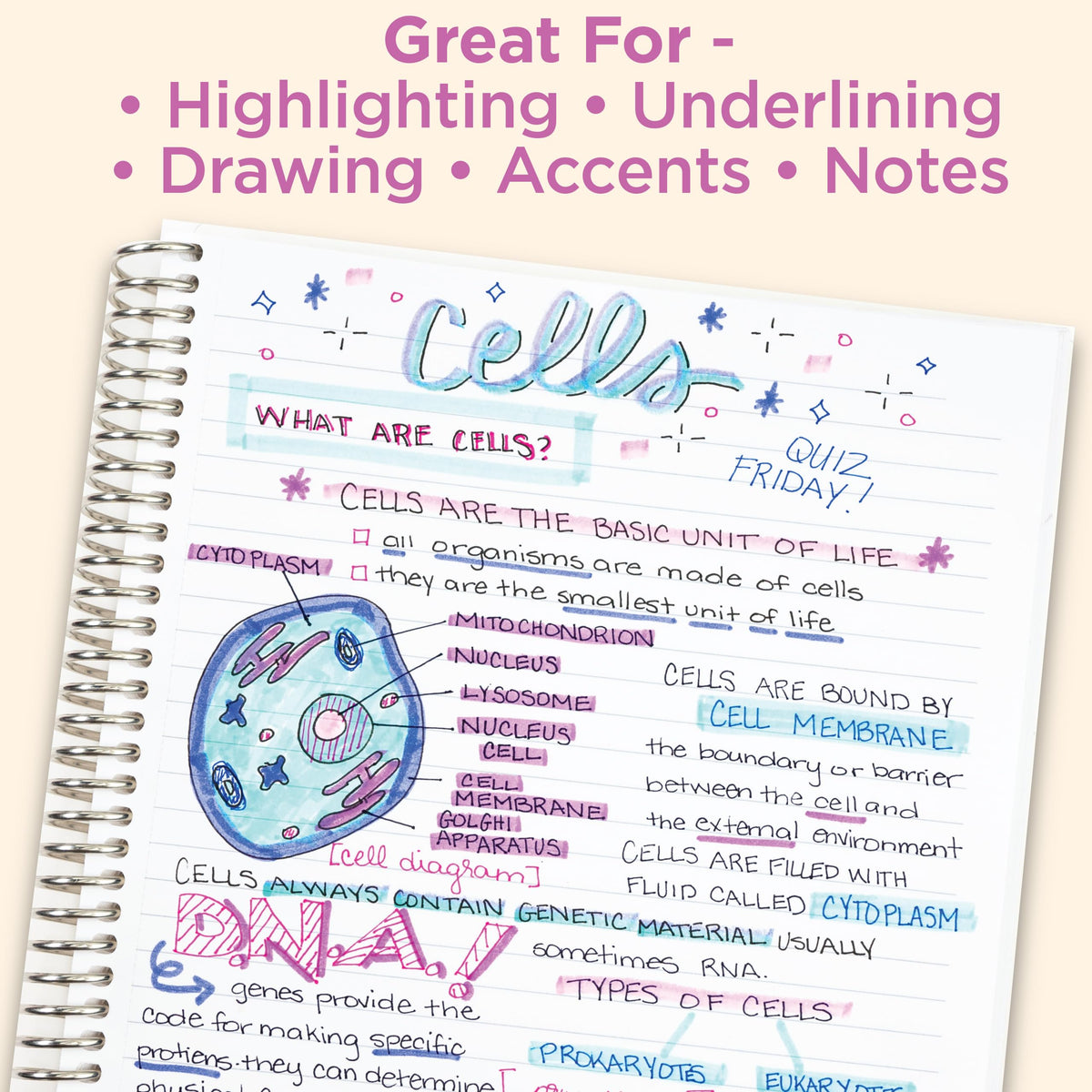 Zebra Pen MILDLINER 5/PK FLUORESCNT, Multicolors