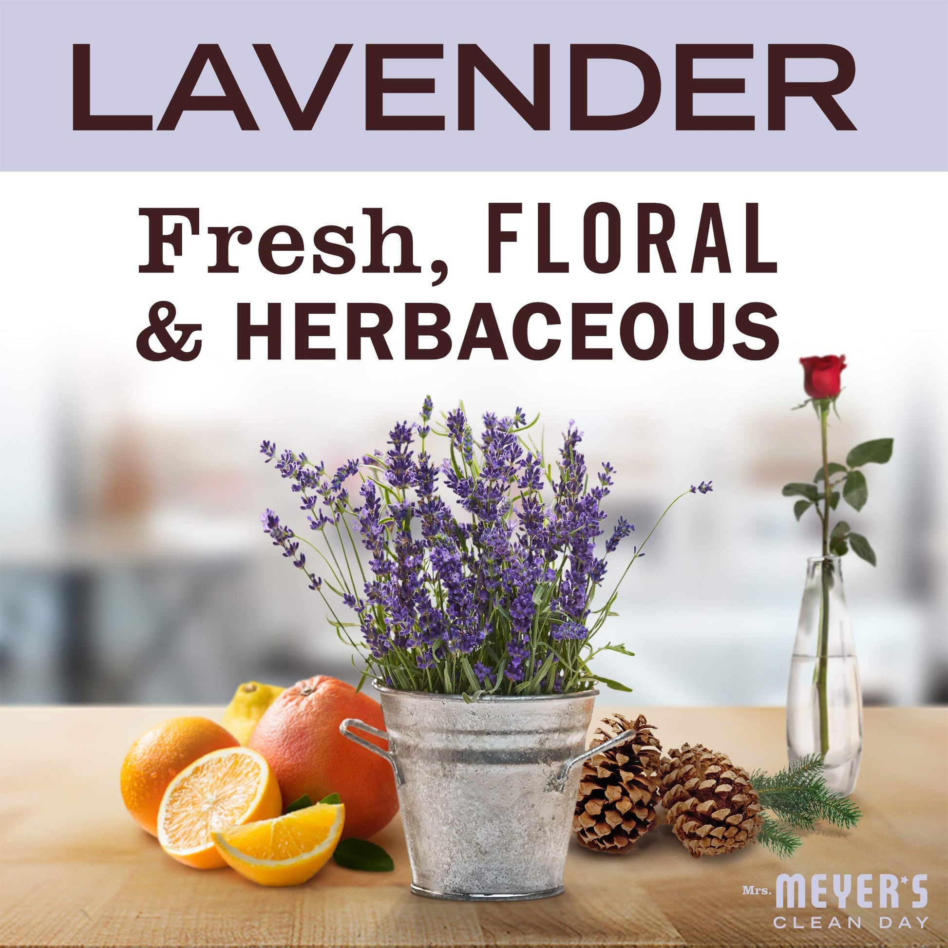 MRS. MEYER'S CLEAN DAY Probiotic Drain Maintenance Liquid, Lavender, Freshens Disposals and Drains, 32 Fl Oz