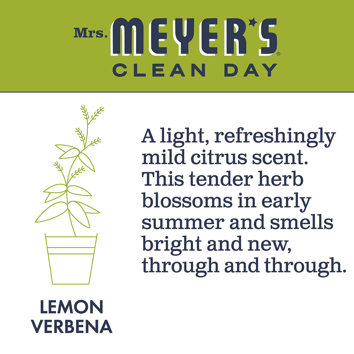 Mrs Meyer'S Lemon Verbena Multi Surface Concentrate, 32 Fz
