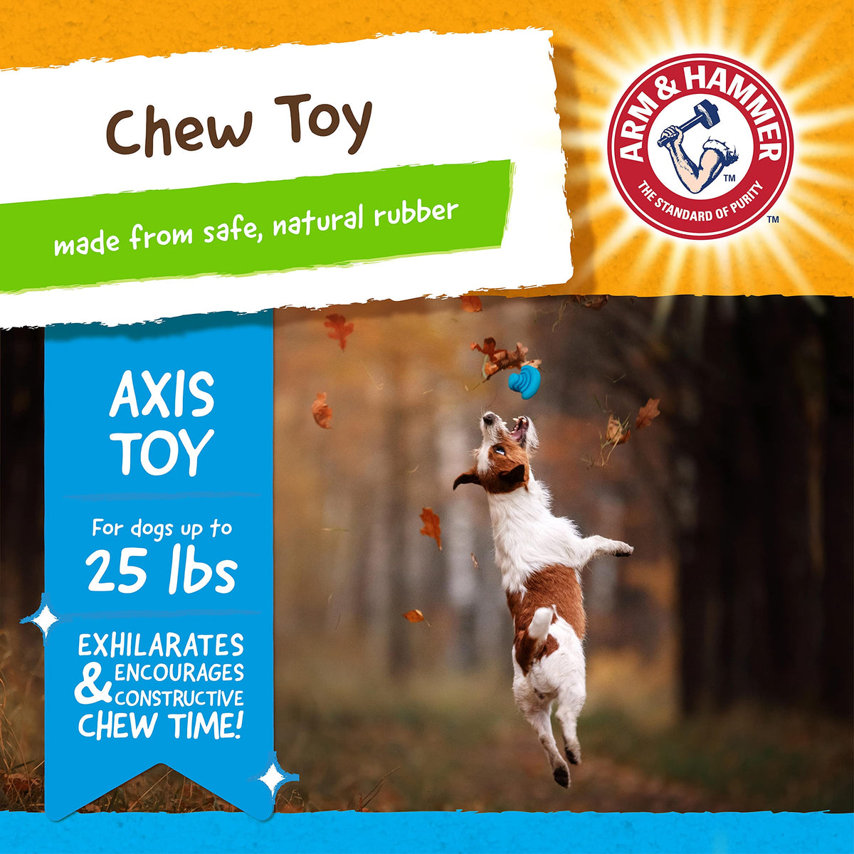 Arm & Hammer Rock N' Roller Axis Rubber Chew Toy for Dogs | Bouncing, Rolling, Chewable, Fetchable Dog Toy Made with Natural Rubber and Baking Soda to Help Redirect Destructive Chewing