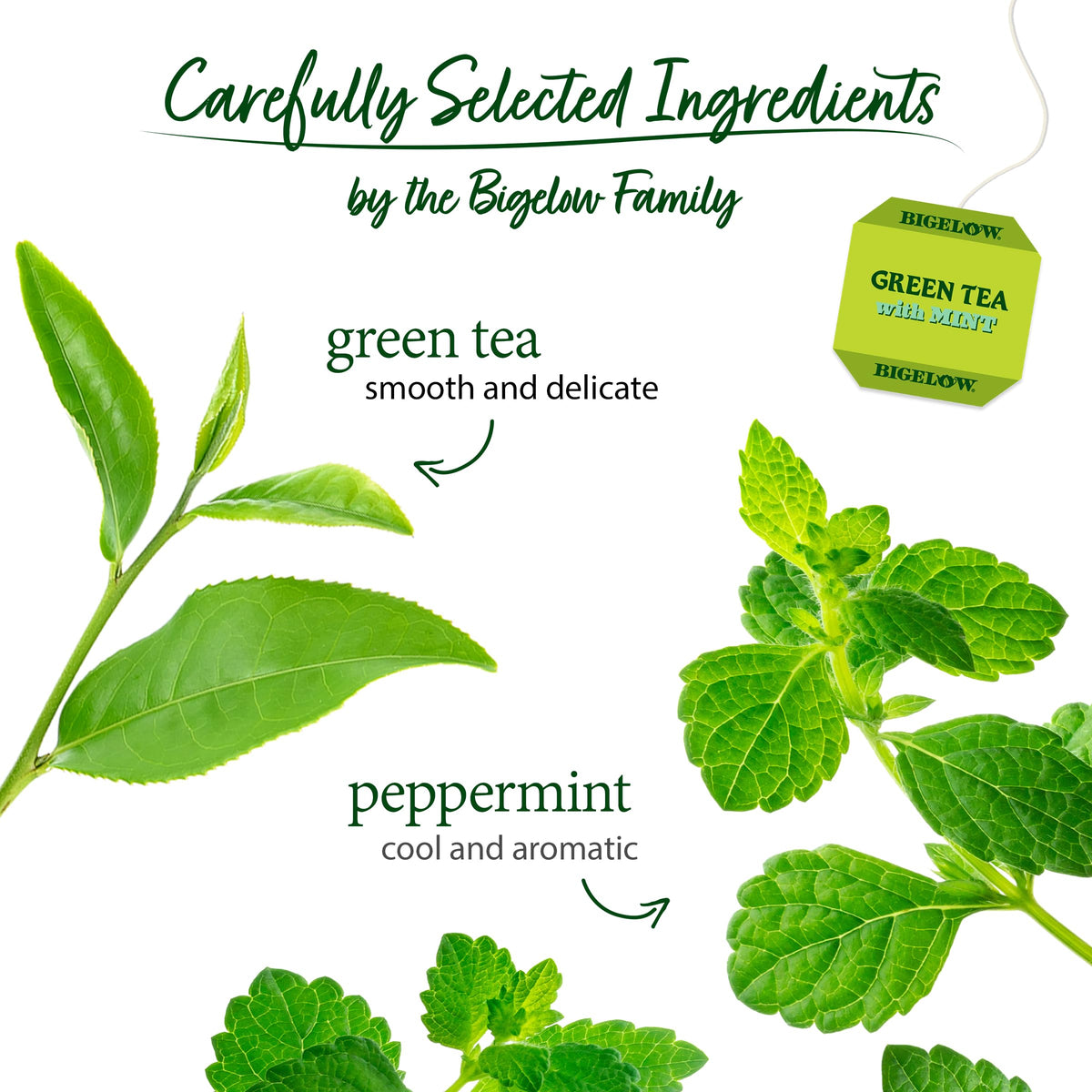 Bigelow Tea Green Tea with Mint, Caffeinated, 120 Count