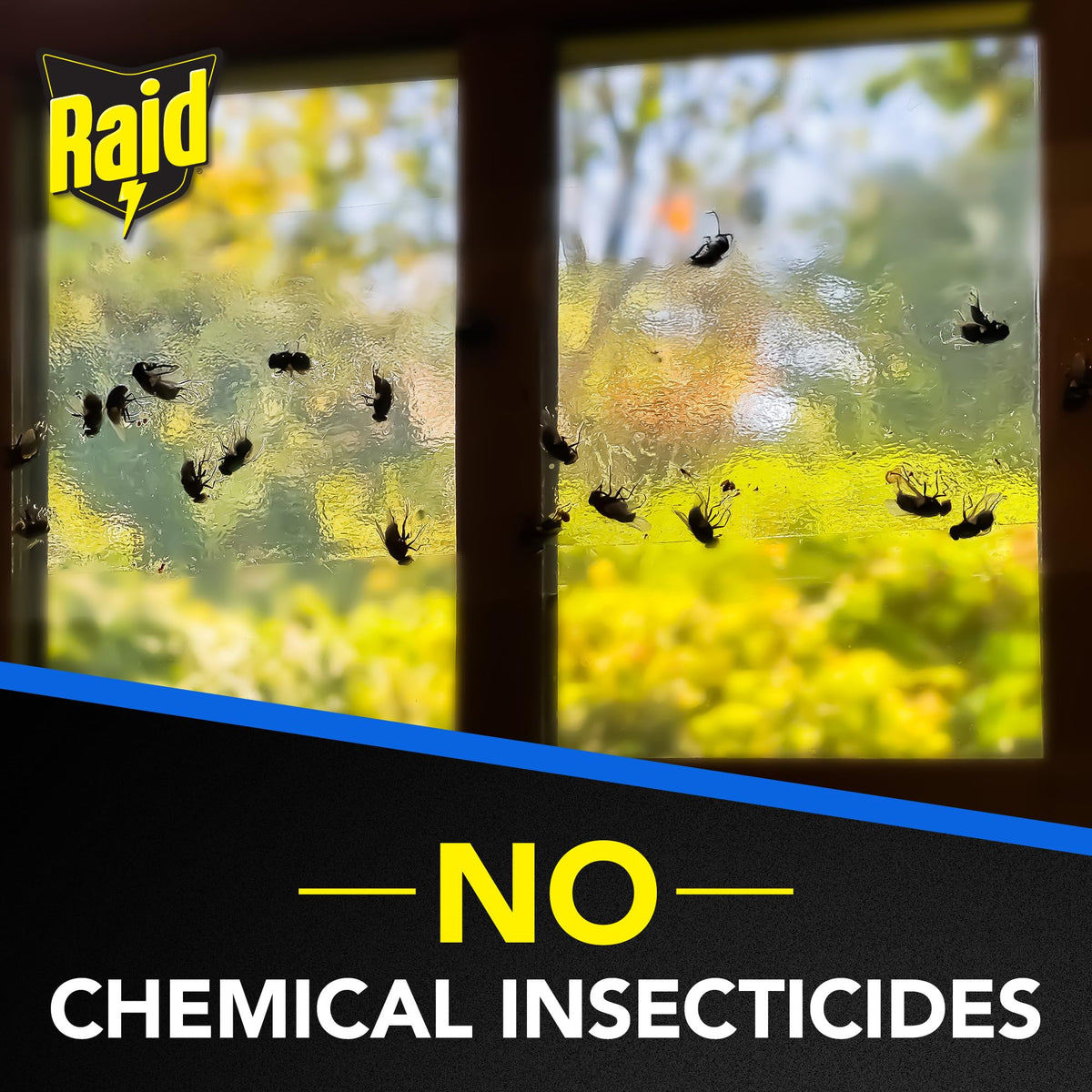 Raid Window Fly Trap, 4 Count (12-Pack)