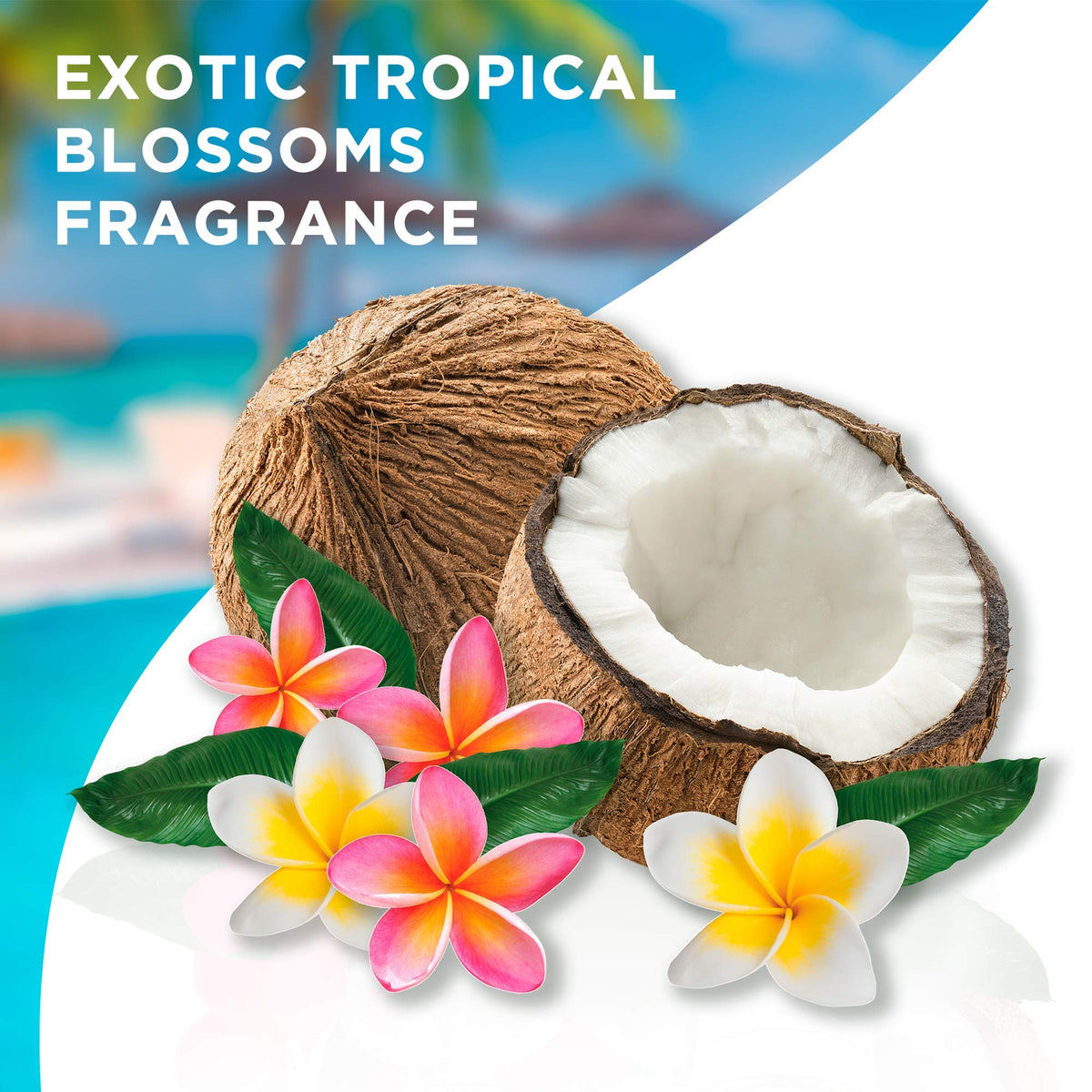 Glade Solid Air Freshener, Deodorizer for Home and Bathroom, Exotic Tropical Blossoms, 6 Oz