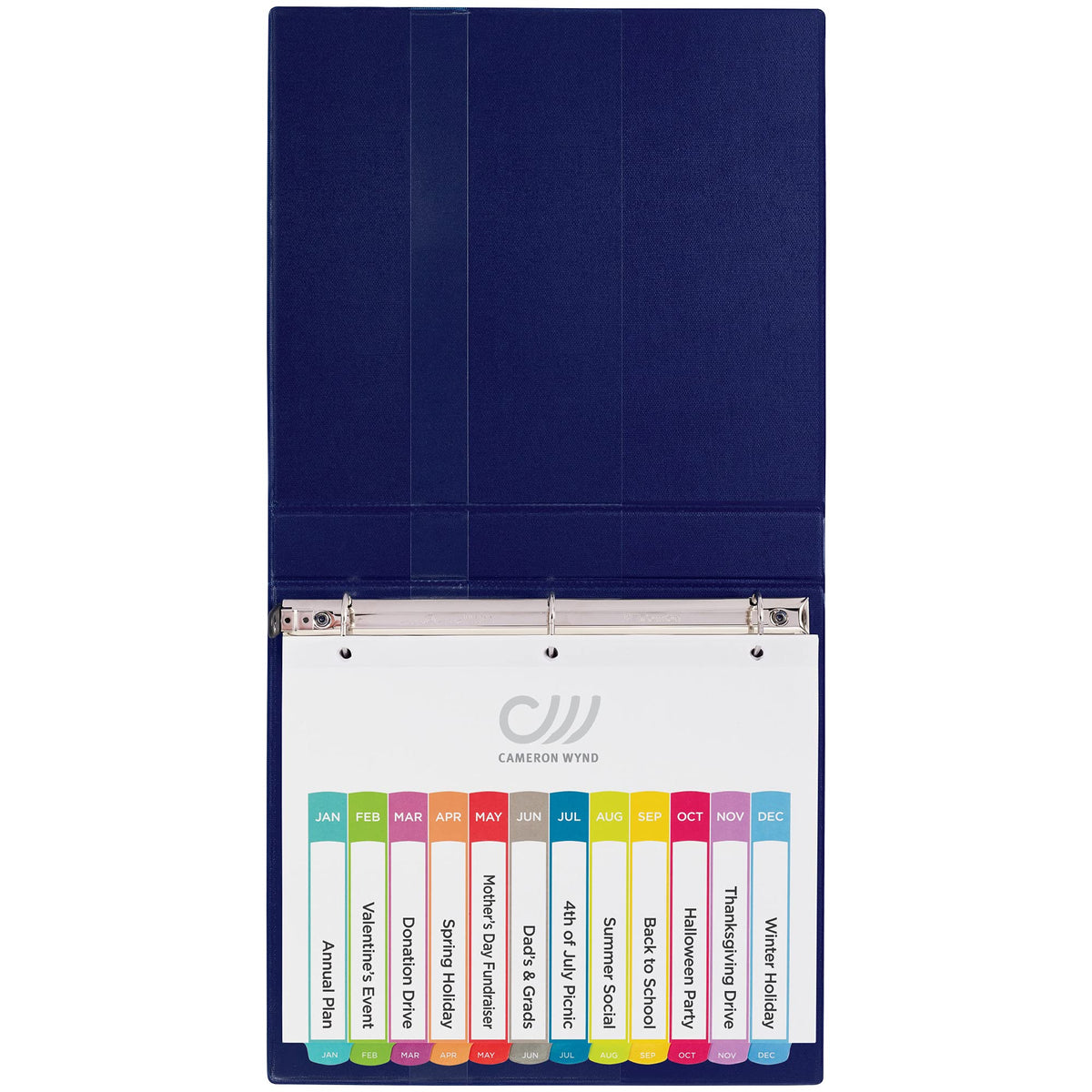Avery Jan-Dec Customizable Table of Contents Dividers for 3 Ring Binders, 12-Tab Set, Multicolor, 1 Set (11847)