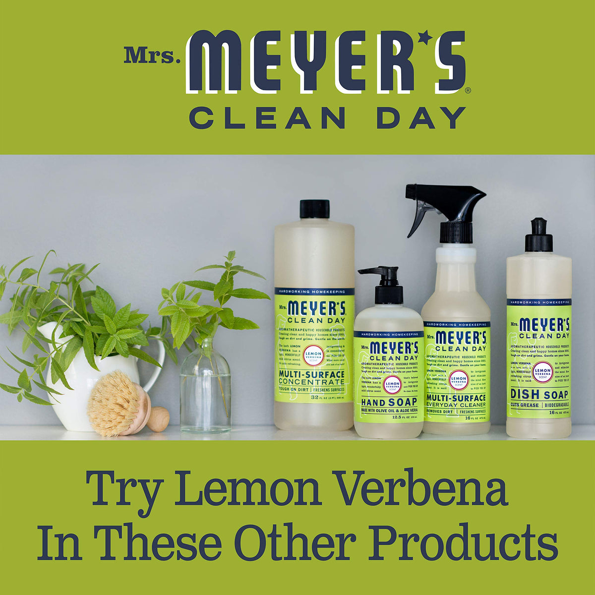Mrs. MEYER'S Foaming Hand Soap, Lemon Verbena,10 fl oz (Pack of 6)