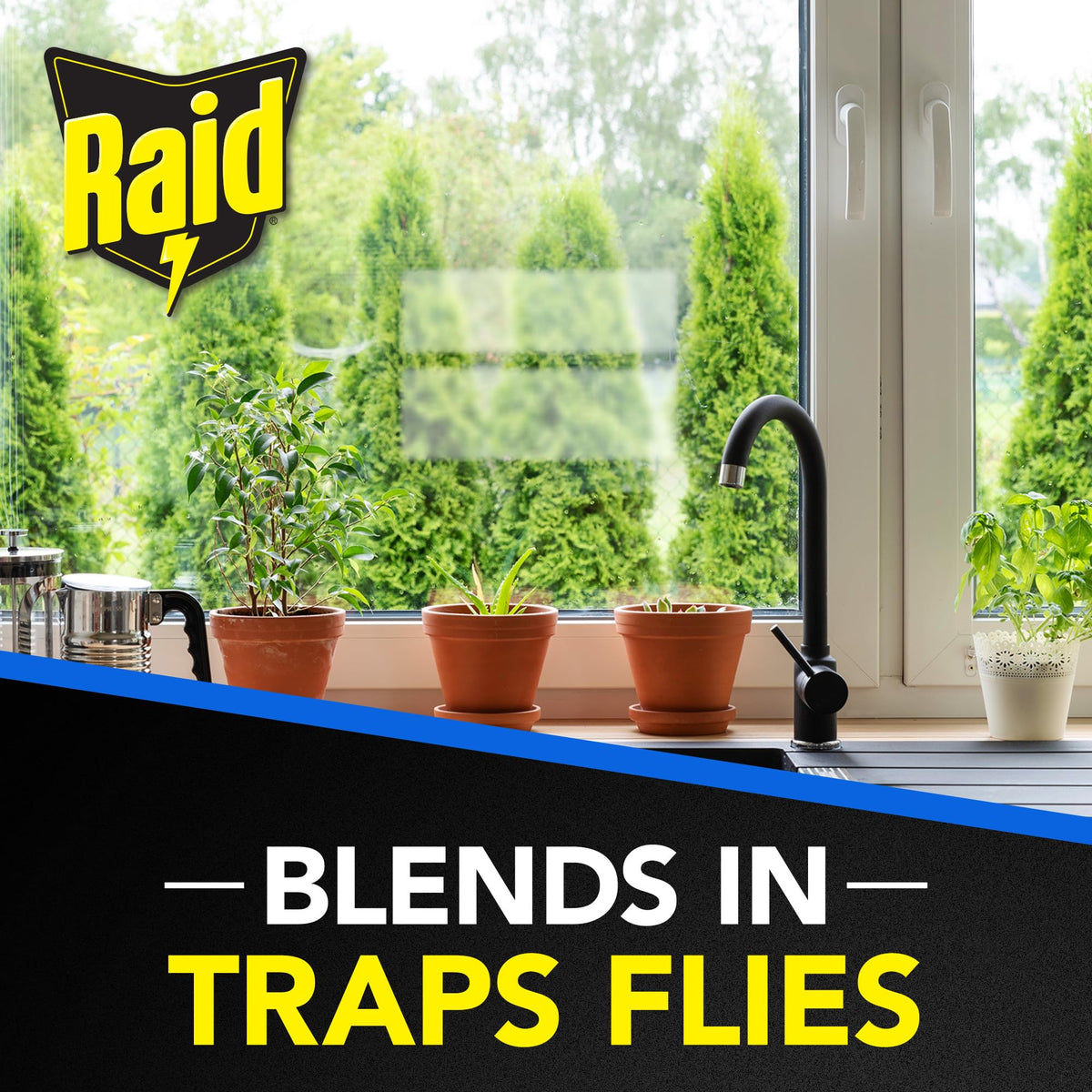 Raid Window Fly Trap, 4 Count (12-Pack)