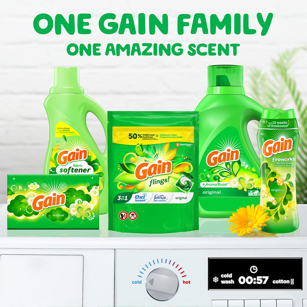 Gain flings Laundry Detergent Soap Pacs, HE Compatible, 22 Oz, Long Lasting Scent, Original Scent