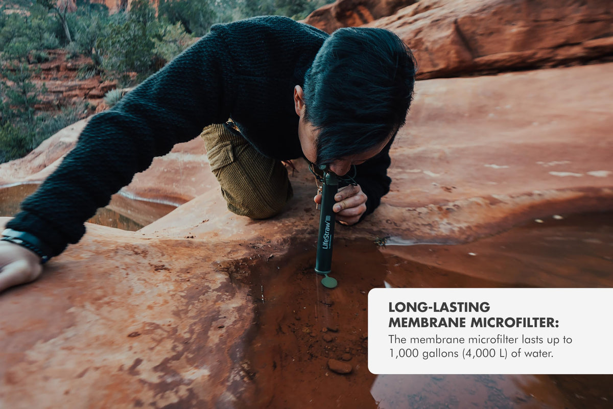 LifeStraw Personal Water Purifier for Hiking, Camping, Travel, and Emergency Preparedness