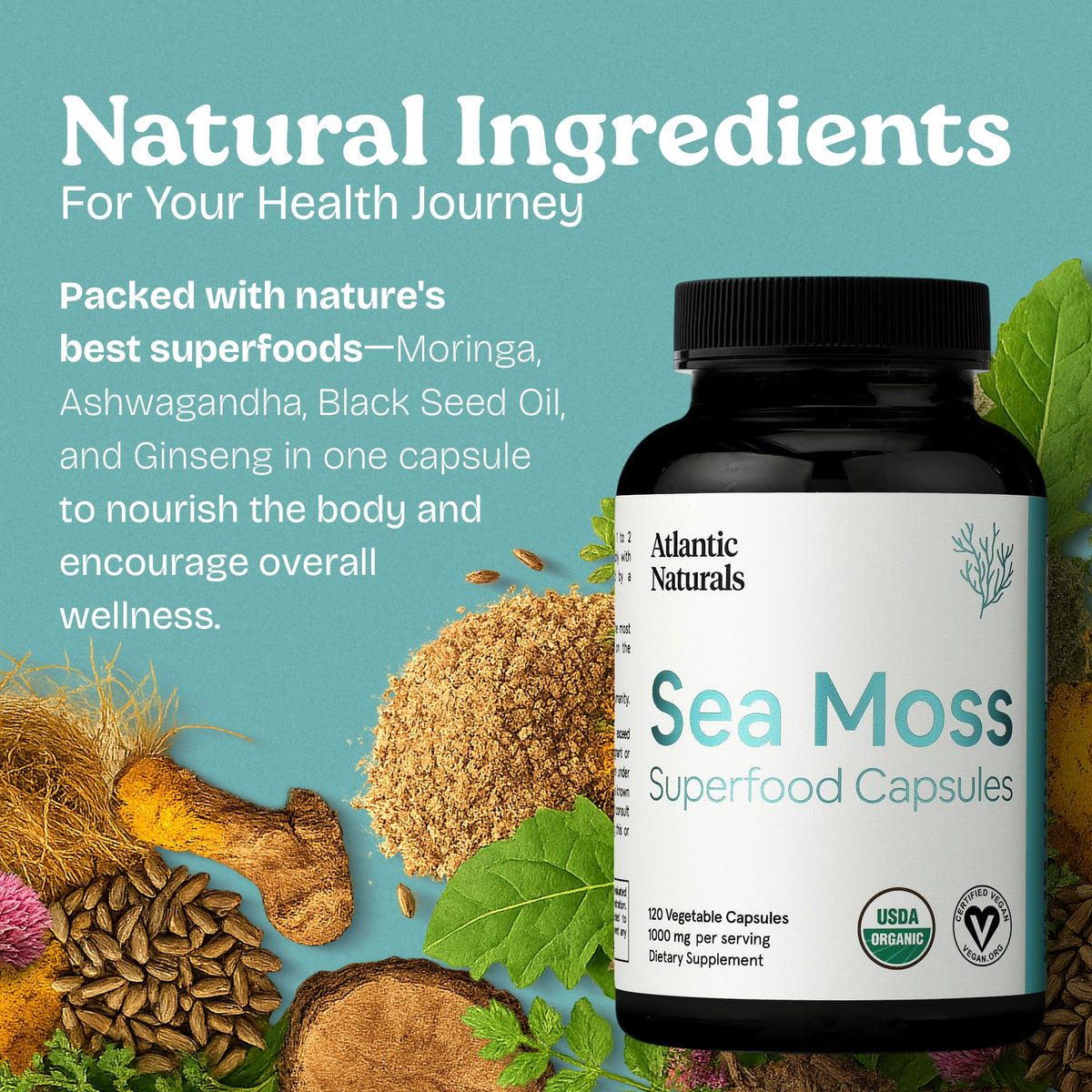 Atlantic Naturals Sea Moss Capsules with Moringa, Ashwagandha, Black Seed Oil, Ginger & Ginseng – Atlantic Sea Moss Supplements for Men and Women – for Daily Energy & Wellness Blend – 120 Count