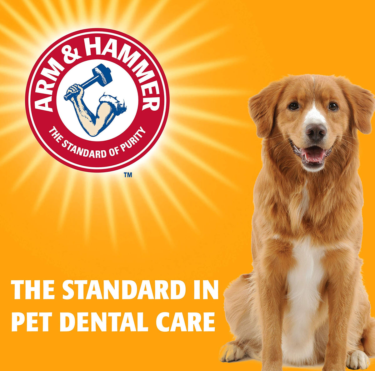 Arm & Hammer for Pets Nubbies Dental Treats for Dogs with Baking Soda and Calcium, Treat Chews Help Fight Bad Breath, Plaque & Tartar without Brushing, Peanut Butter, 20 Pcs, 4pk (Packaging may vary)